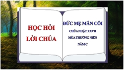 hoc hoi loi chua chua nhat 27 thuong nien nam c