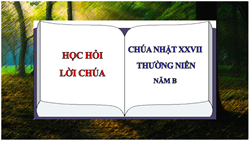 hoc hoi loi chua chua nhat xxvii thuong nien   nam b