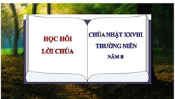 hoc hoi loi chua chua nhat xxviii thuong nien   nam b