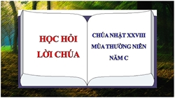 hoc hoi loi chua chua nhat 28 thuong nien nam c
