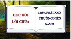 hoc hoi loi chua chua nhat xxix thuong nien   nam b