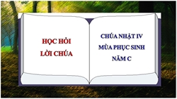 hoc hoi loi chua tuan 4 phuc sinh nam c