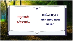 hoc hoi loi chua chua nhat 5 phuc sinh nam c