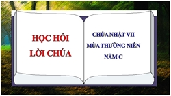 hoc hoi loi chua tuan 7 mua thuong nien nam c