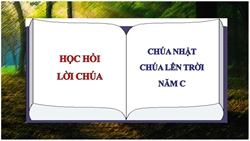 hoc hoi loi chua le chua thang thien nam c