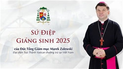 su diep giang sinh 2025 cua duc tong giam muc marek zalewski   dai dien toa thanh tai viet nam