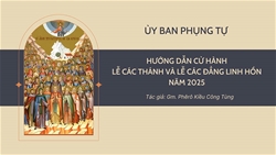 huong dan cu hanh le cac thanh va le cac dang linh hon nam 2025