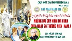 chua nhat 26 thuong nien nam a  an nan thong hoi
