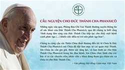 hoi dong giam muc viet nam cau nguyen cho duc thanh cha phanxico