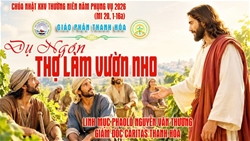 suy niem chua nhat xxv thuong nien   nam a