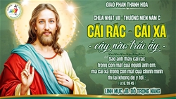 cac bai suy niem chua nhat 8 mua thuong nien nam c