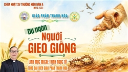 suy niem chua nhat 15 thuong nien nam a