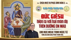 suy niem chua nhat iii phuc sinh nam a