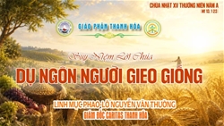 bai giang chua nhat xv thuong nien   nam a
