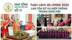 ???????toan canh ad limina 2026   lan toa su vu hiep thong trong xa hoi   nhip song giao hoi viet nam so 71 2142026   2742026???????
