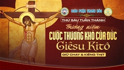 phung vu thu sau tuan thanh a    nguoi toi to cua thien chua