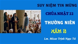 suy niem tin mung chua nhat 22 tn nam b