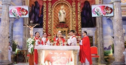 giao phan thanh hoa thanh le mung kinh thanh phaolo le bao tinh   ngay hanh huong den thanh tu dao giao phan