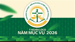 logo nam muc vu 2026 moi ktio huu la mot mon de thua sai em em la anh sang the gian mt 514