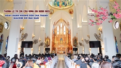 den thanh giacobe do mai nam duc cha giuse nguyen duc cuong cu hanh thanh le ta on cau binh an trong nam moi binh ngo