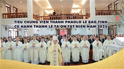 tieu chung vien thanh phaolo le bao tinh cu hanh thanh le ta on tat nien nam 2025