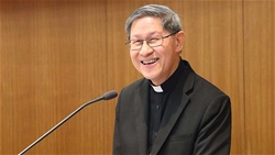 chuc danh cua duc hong y tagle va ngai den viet nam voi tu cach nao