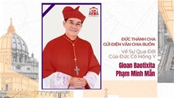 duc thanh cha gui dien van chia buon ve su qua doi cua dhy gioan baotixita pham minh man