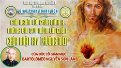 chua nhat 14 thuong nien nam a | hay song theo than khi