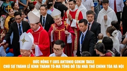 duc hong y luis antonio g. tagle chu su thanh le kinh thanh toma tong do tai nha tho chinh toa ha noi