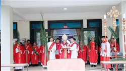 giao xu huu le thanh le be mac tuan chau thanh the