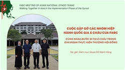 ???????gioi thieu cuoc gap go cac nhom hiep hanh quoc gia a chau cua fabc???????