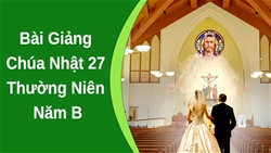 bai giang chua nhat 27 thuong nien nam b