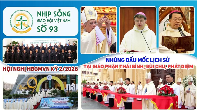 hoi nghi thuong nien hdgmvn   nhung dau moc lich su tai cac giao phan thai binh bui chu phat diem nhip song giao hoi viet nam so 92 2292026   2892026