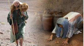 xin chung vui voi toi 06112025   thu nam tuan 31 thuong nien