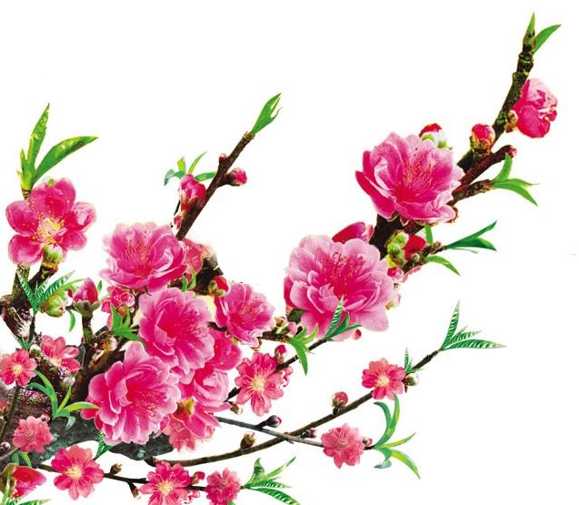 nghi thuc hai loc thanh