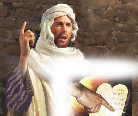 dieu ran dung dau 1332026   thu sau tuan 3 mua chay