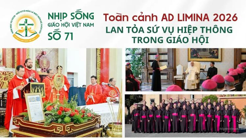 toan canh ad limina 2026   lan toa su vu hiep thong trong xa hoi   nhip song giao hoi viet nam so 71 2142026   2742026