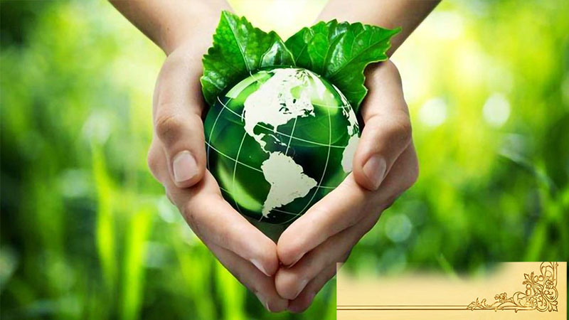 Đức Thánh Cha: Hòa bình bắt đầu từ con tim và sự hoán cải