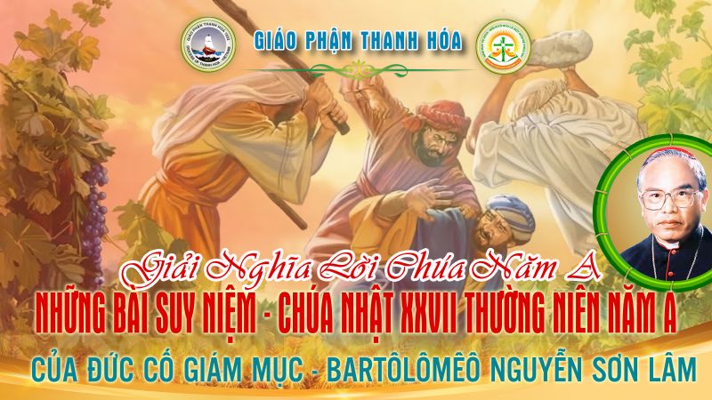 chua nhat 27 thuong nien nam a  dan chua la vuon nho