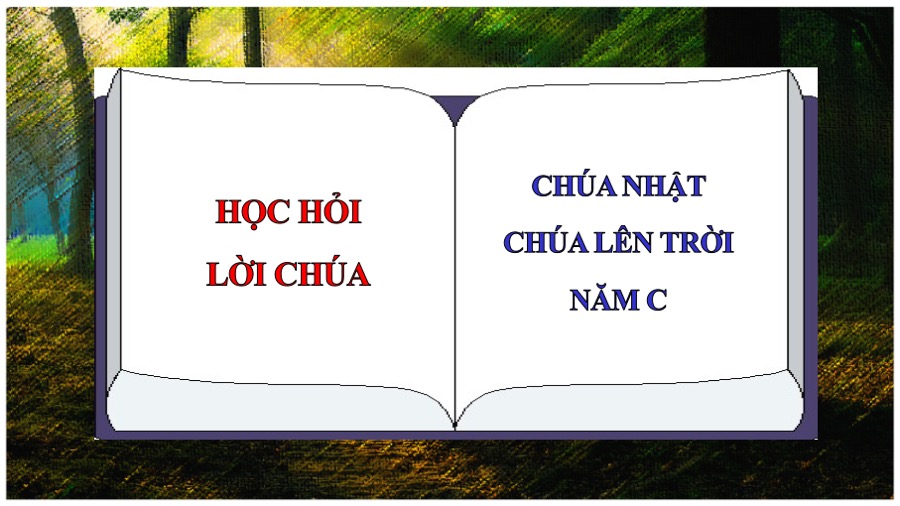 hoc hoi loi chua le chua thang thien nam c