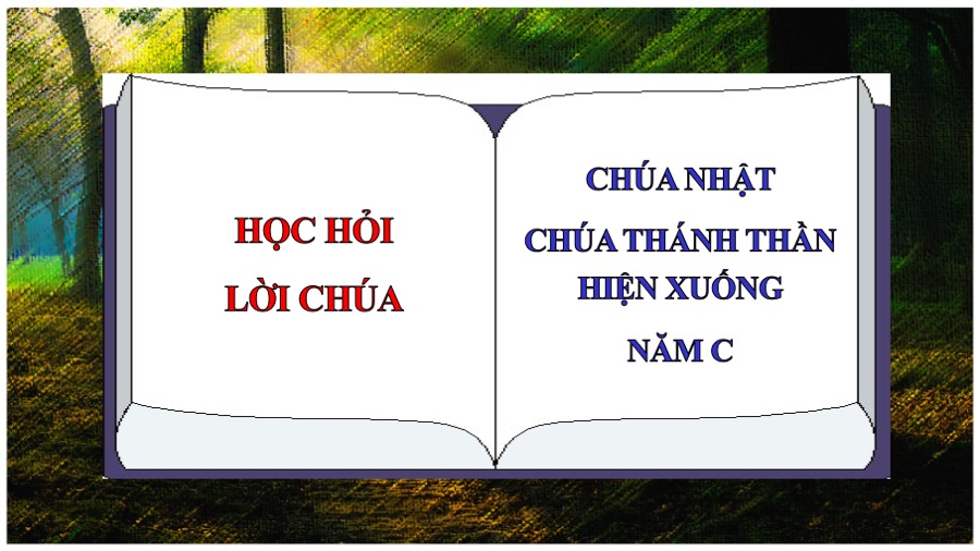 hoc hoi loi chua le chua thanh than hien xuong nam c