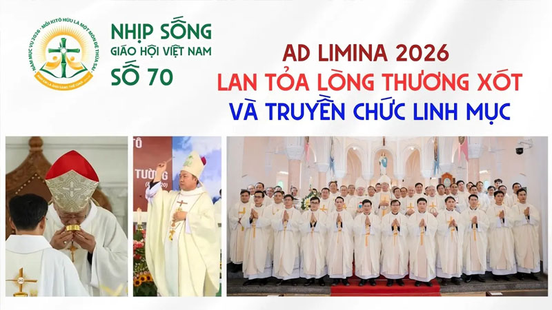 ad limina 2026 lan toa long thuong xot va truyen chuc linh muc   nhip song giao hoi viet nam so 70 1332026   2042026
