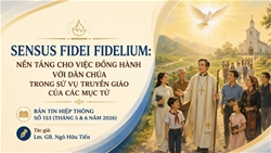 sensus fidei fidelium nen tang cho viec dong hanh voi dan chua trong su vu truyen giao cua cac muc tu