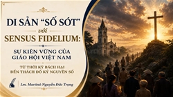 di san “so sot” voi sensus fidelium su kien vung cua giao hoi viet nam tu thoi ky bach hai den thach do ky nguyen so