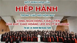 mot minh hoa cua hiep hanh trong giao hoi hom nay   cong nghi hong y dau tien cua duc giao hoang leo xiv 07–08012026