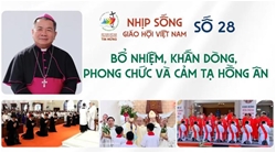 nhip song giao hoi viet nam so 28 017   0772025 bo nhiem khan dong phong chuc va cam ta hong an