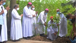 giao hoi bangladesh trong 1 trieu cay xanh theo tinh than thong diep laudato si’