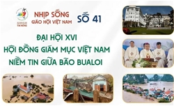 dai hoi xvi hoi dong giam muc viet nam – niem tin giua bao bualoi nhip song giao hoi viet nam so 41 309   06102025