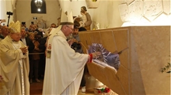 duc hong y parolin “thanh carlo acutis vien ngoc quy cua assisi va mon qua lon cho giao hoi