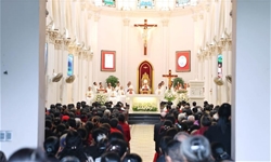 giao phan thanh hoa dai le kinh thanh faustina – bon mang hoi long thuong xot chua giao phan thanh hoa